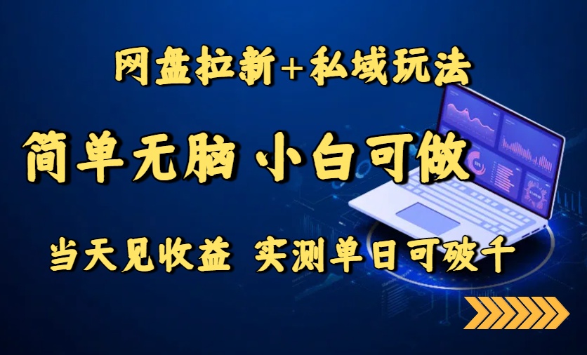 网盘拉新+私域玩法，简单无脑，小白可做，当天见收益，实测单日可破千-财阁