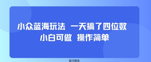 小众蓝海玩法 一天搞了四位数 小白可做 操作简单-财阁