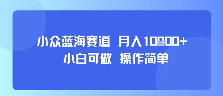 小众蓝海赛道，小白可做，操作简单，每天30分钟，月入1W+-财阁