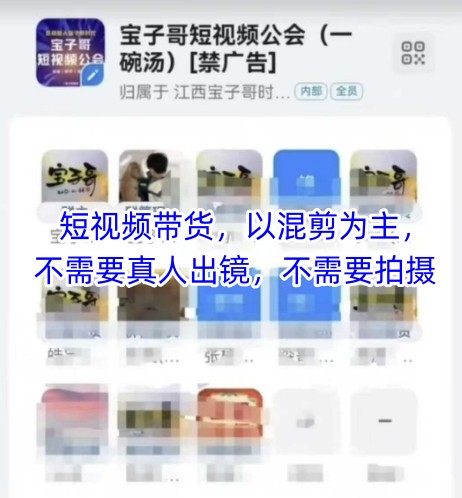 宝子哥头部团队短视频带货，以混剪为主，不需要真人出镜，不需要拍摄【更新11月】-财阁
