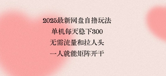 2025最新网盘自撸玩法，单机每天稳下3张，无需流量和拉人头，一个人就可轻松矩阵，全网独一份【揭秘】-财阁