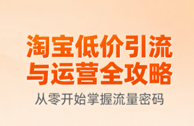 淘宝低价引流与运营全攻略(更新9月)-财阁