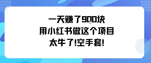一天挣了9张用小红书做这个项目太牛了，空手套-财阁