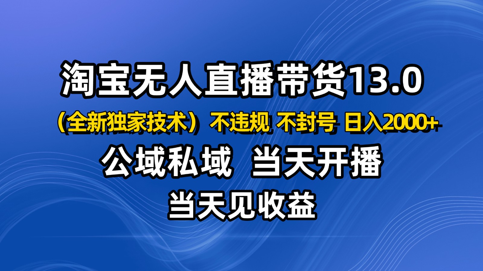 淘宝无人直播13.0，公域私域技术，不封号，不违规 布局下半年旺季赛道，日入2000+-财阁
