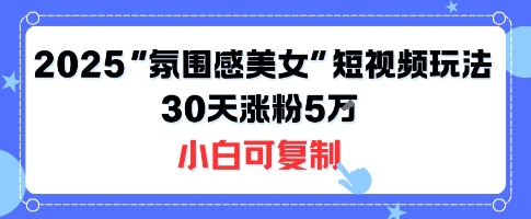 不露脸也能火！2025“氛围感美女”短视频玩法，30天涨粉5W小白可复制-财阁