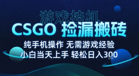 8月最新游戏搬砖，CSGO纯挂G，不需要玩游戏，实现真挂G，月入1W+【揭秘】-财阁