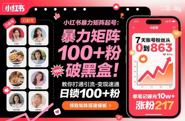 小红书暴力矩阵起号，教你打通引流-变现速通，日锁100+粉，破流量黑盒-财阁