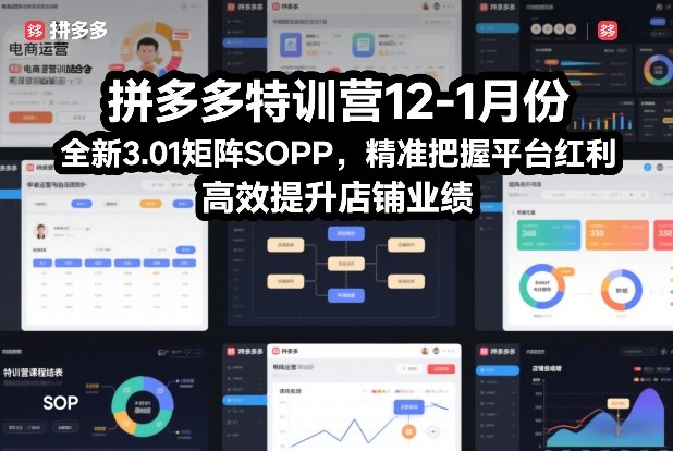 拼多多特训营12-1月份，全新3.01矩阵Sop，精准把握平台红利，高效提升店铺业绩-财阁