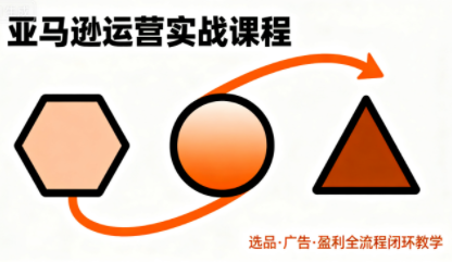 毕方电商·亚马逊全站会员课程(更新3月)-财阁