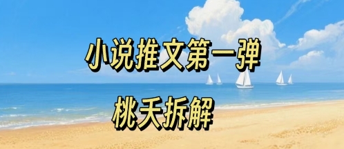 小说推文项目操作全流程第一弹，0粉就能做，门槛低非常适合新手-财阁