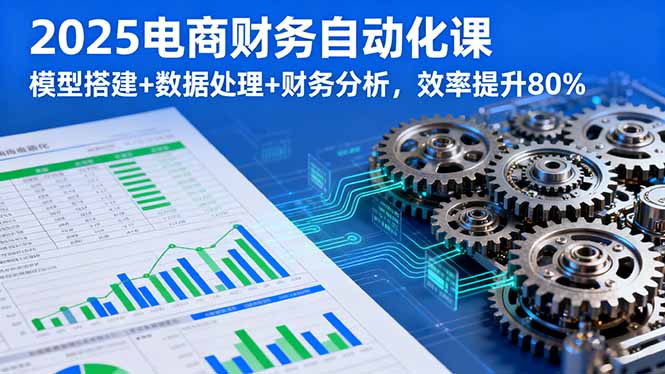 2025电商财务自动化课，模型搭建+数据处理+财务分析，效率提升80%-财阁