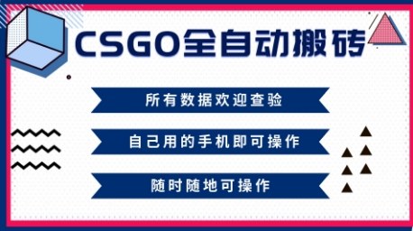 CSGO全自动搬砖，年底钱回家好项目，当天可拿到结果，新手小白轻松月入1W+【揭秘】-财阁