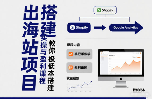小淘出海站项目，搭建实操与盈利课程，手把手教你用极低成本搭建-财阁