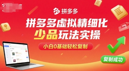 拼多多虚拟精细化少品玩法实操，小白0基础轻松复制-财阁