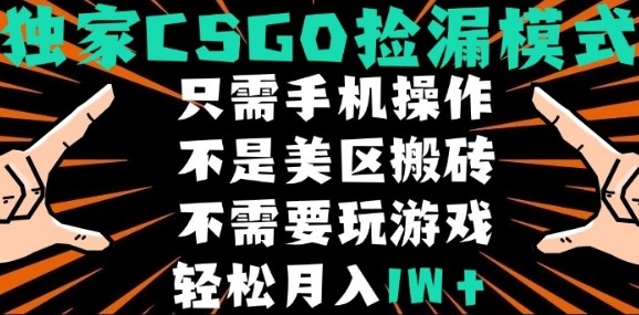 CSGO自动捡漏项目，最新独家玩法，不是美区搬砖，不需要了解和玩游戏，新手小白轻松月入1W+【揭秘】-财阁