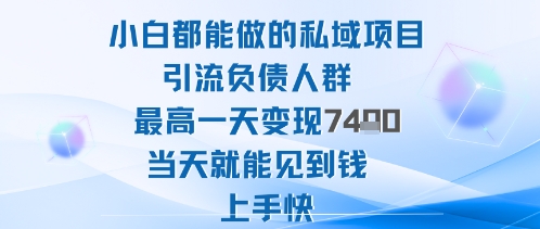 2025年小白都能做的私域项目引流负债人群最高一天变现1k+高变现难度低当天就能见到钱上手快-财阁