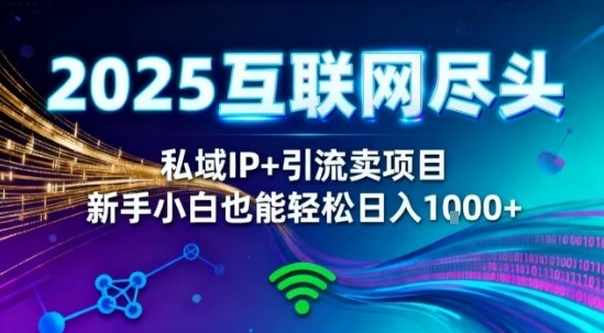 2025网创尽头王炸项目！私域IP+精准引流，新手小白在家躺賺日入1k，零经验也能上手【揭秘】-财阁