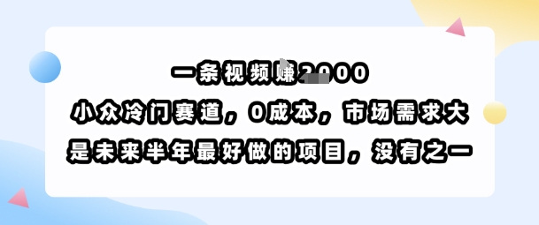 一条视频挣1k，小众冷门赛道，0成本，市场需求大，是未来半年最好做的项目，没有之一-财阁