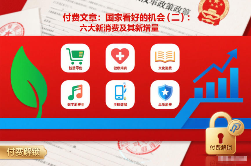 付费文章：国家看好的机会(二)：六大新消费及其新增量-财阁