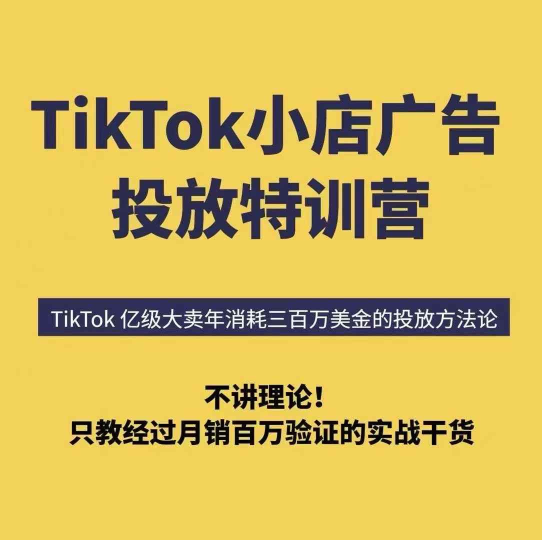 TikTok小店广告投放特训营，6天破局计划专治各种“投不动”，教你经过月销百万验证的实战干货-财阁