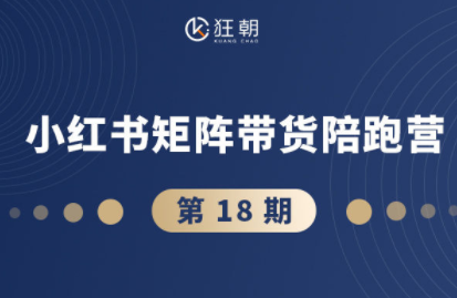 盗坤·抖音小红书视频号短视频带货与直播变现(11-18期)-财阁