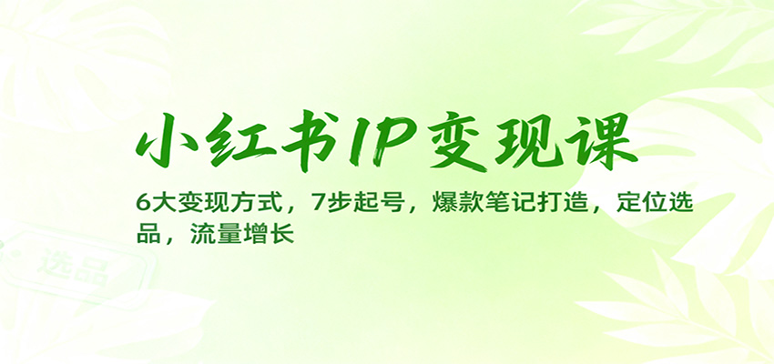 小红书IP变现课：6大变现方式，7步起号，爆款笔记打造，定位选品，流量增长-财阁