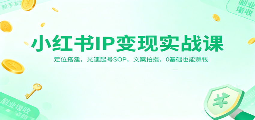 小红书IP变现实战课：定位搭建，光速起号SOP，文案拍摄，0基础也能赚钱-财阁