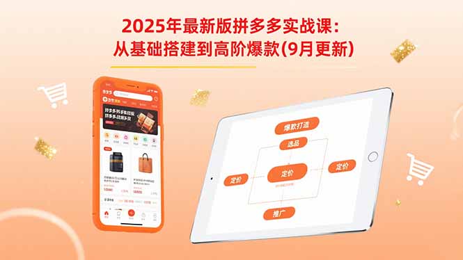 2025年最新版拼多多实战课：从基础搭建到高阶爆款(9月更新-财阁