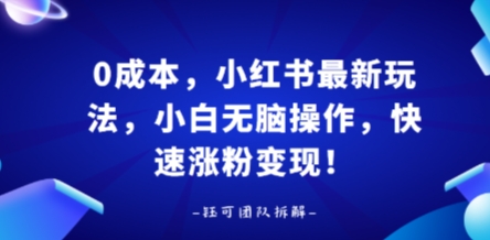 0成本，小红书最新玩法，小白无脑操作，快速涨粉变现-财阁