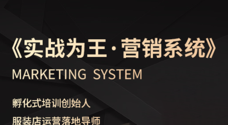 老杨·服装老板必修课《实战为王-营销系统》实现业绩被动式增长-财阁