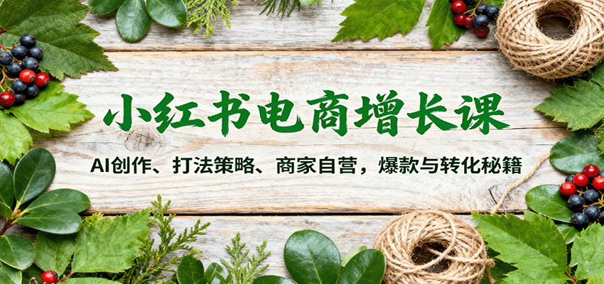 小红书电商增长课：AI创作、打法策略、商家自营，爆款与转化秘籍-财阁
