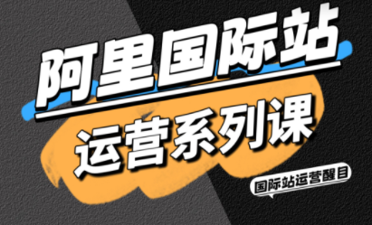 醒目老师·阿里国际站运营系列课(更新11月)-财阁
