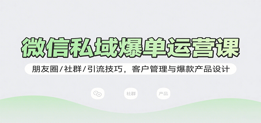 微信私域爆单运营课：朋友圈/社群/引流技巧，客户管理与爆款产品设计-财阁