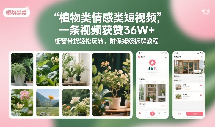 植物类情感类短视频，一条视频获赞36W+，橱窗带货轻松玩转，附保姆级拆解教程-财阁