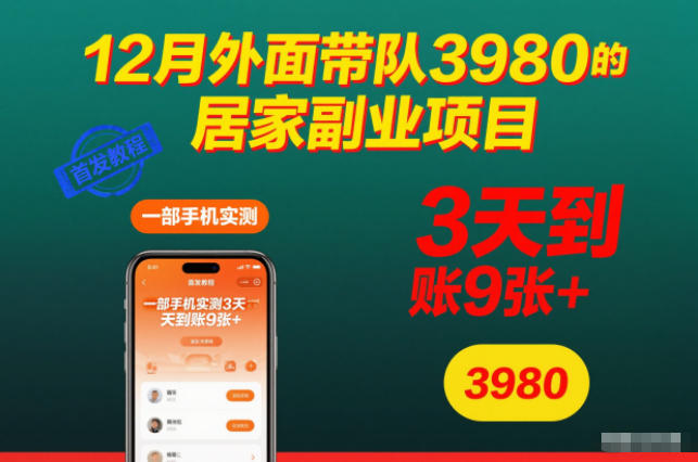 12月外面带队3980的居家副业项目，一部手机实测3天到账9张+，首发教程【揭秘】-财阁