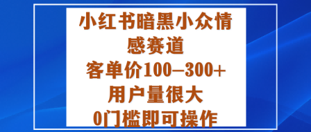 小红书暗黑小众情感赛道，客单价100-300+用户量很大，0门槛即可操作-财阁