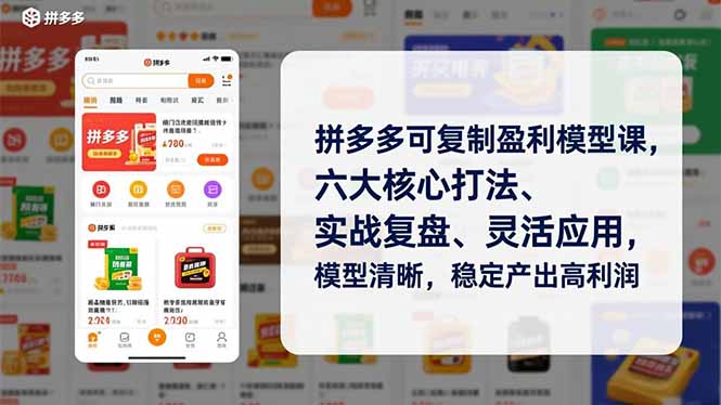 拼多多可复制盈利模型课，六大核心打法、实战复盘、灵活应用，模型清晰，稳定产出高利润-财阁
