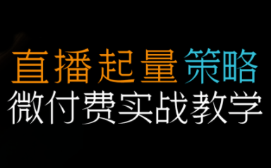 半野老师·直播带货起量与微付费必学课视频号-财阁