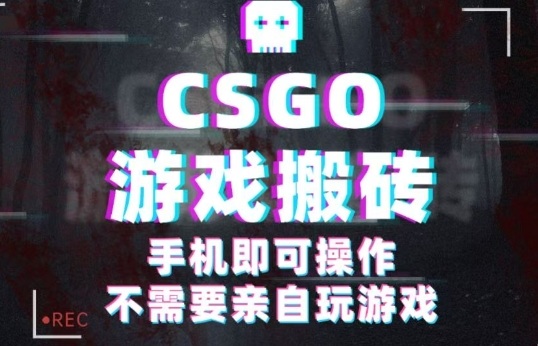 CSGO游戏挂G捡漏，单日扫货5张+，年底小高峰上车可吃肉，手机即可操作，兼职副业创业网创【揭秘】-财阁