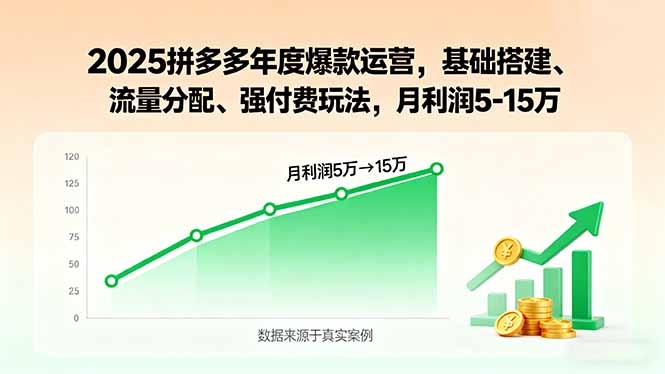 2025拼多多年度爆款运营，基础搭建、流量分配、强付费玩法，月利润5-15万-财阁
