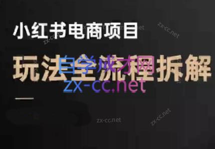 菲菲老师·小红书电商玩法(更新9月)-财阁