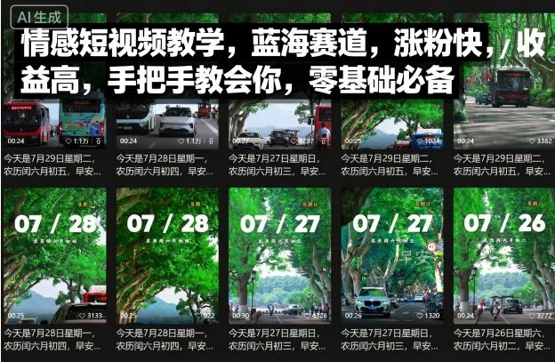 情感短视频教学，蓝海赛道，涨粉快，收益高，手把手教会你，零基础必备-财阁