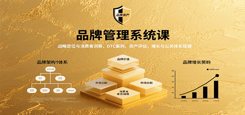 品牌管理系统课：战略定位与消费者洞察，DTC案例、资产评估，增长与公关体系搭建-财阁