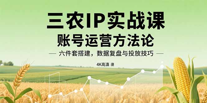 三农IP实战课：账号运营方法论，六件套搭建，数据复盘与投放技巧-财阁