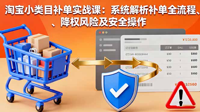 淘宝小类目补单实战课：系统解析补单全流程、降权风险及安全操作-财阁