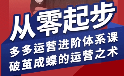 拼多多运营进阶系统课，从零起步，多多运营进阶体系课，破茧成蝶的运营之术-财阁
