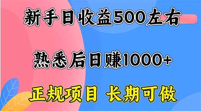 新手日收益500+ 正规项目 长期可做-财阁