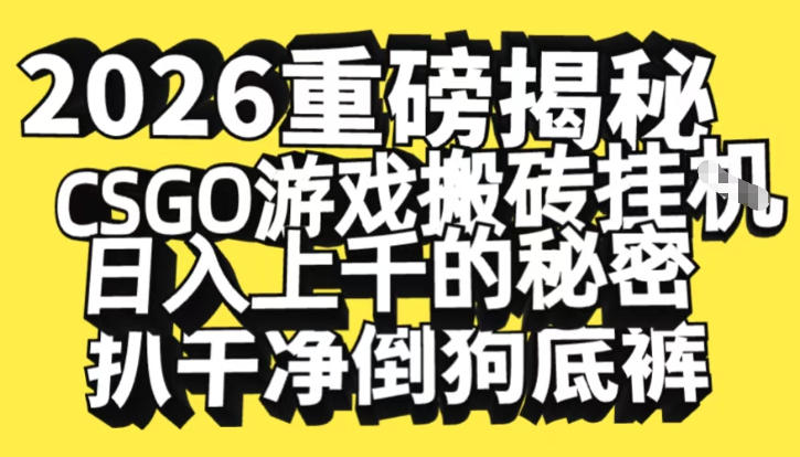 2026开年重磅解密，CSGO游戏搬砖挂G日入1k+的秘密，把倒狗的底裤扒干【揭秘】-财阁