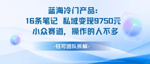 蓝海项目：16条笔记私域变现9750米小众赛道操作的人不多-财阁