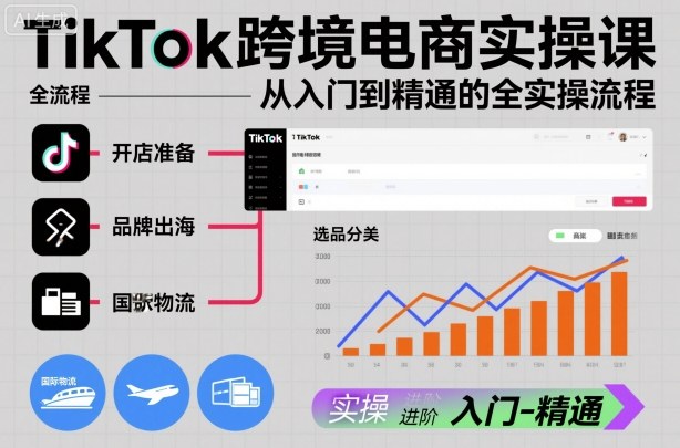 TikTok跨境电商实操课，从入门到精通的全实操流程-财阁